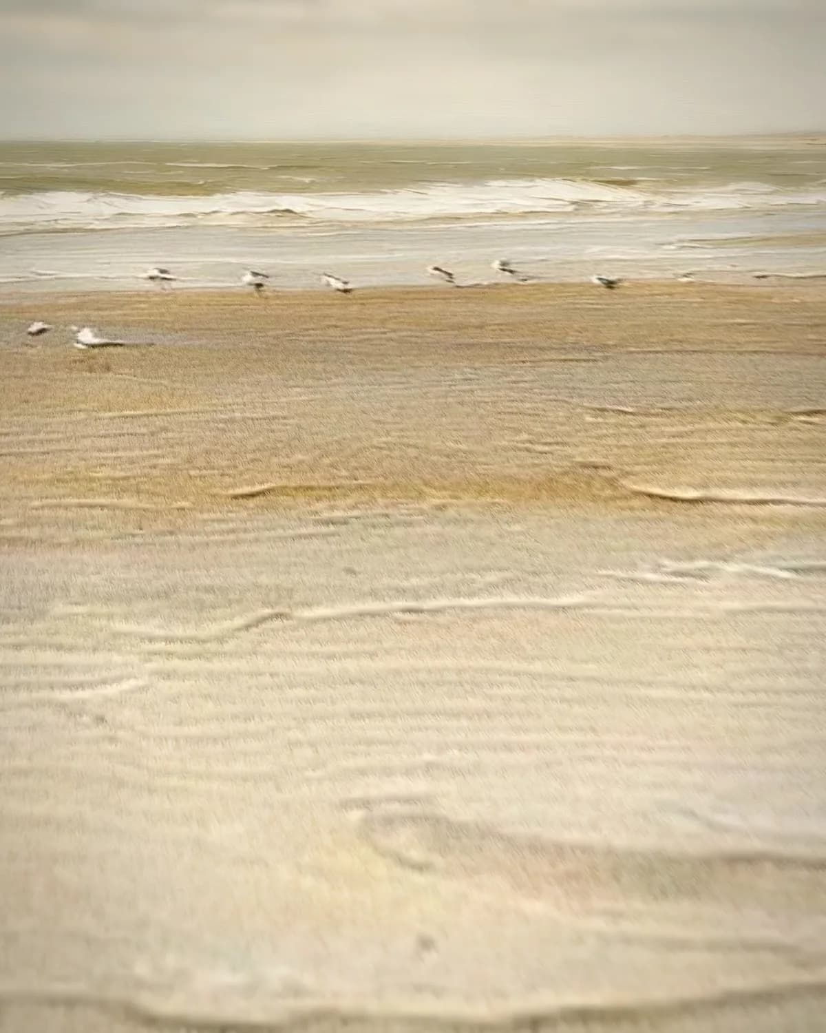 Laag tij op geweven fluweel, uitsnede 2 van 3