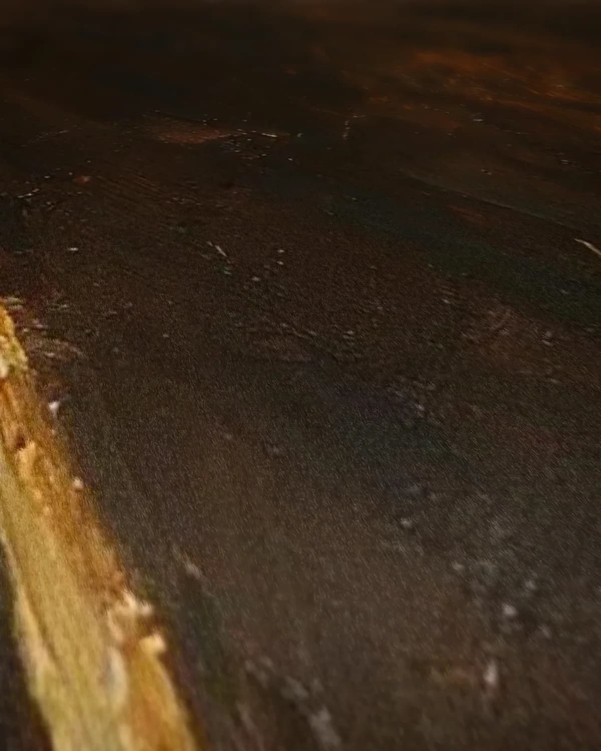 Lampionplant aan een steel op geweven fluweel, uitsnede 2 van 3
