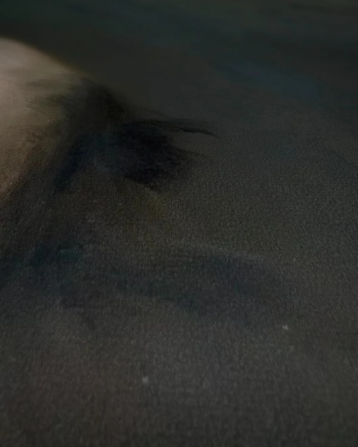 Léonard Renoir, de vader van de kunstenaar op geweven fluweel, uitsnede 1 van 3