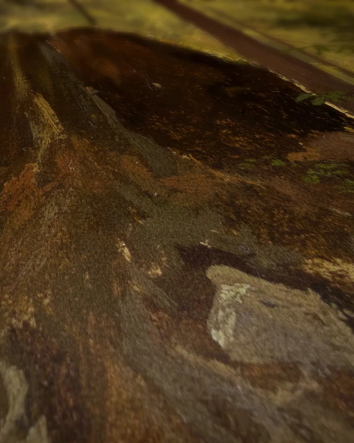 Lezende jongen in het bos op geweven fluweel, uitsnede 2 van 3