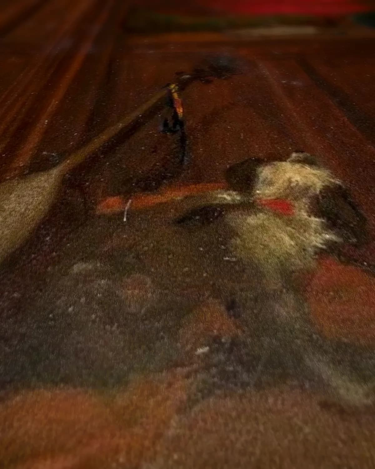 Lezende vrouw op geweven fluweel, uitsnede 1 van 3