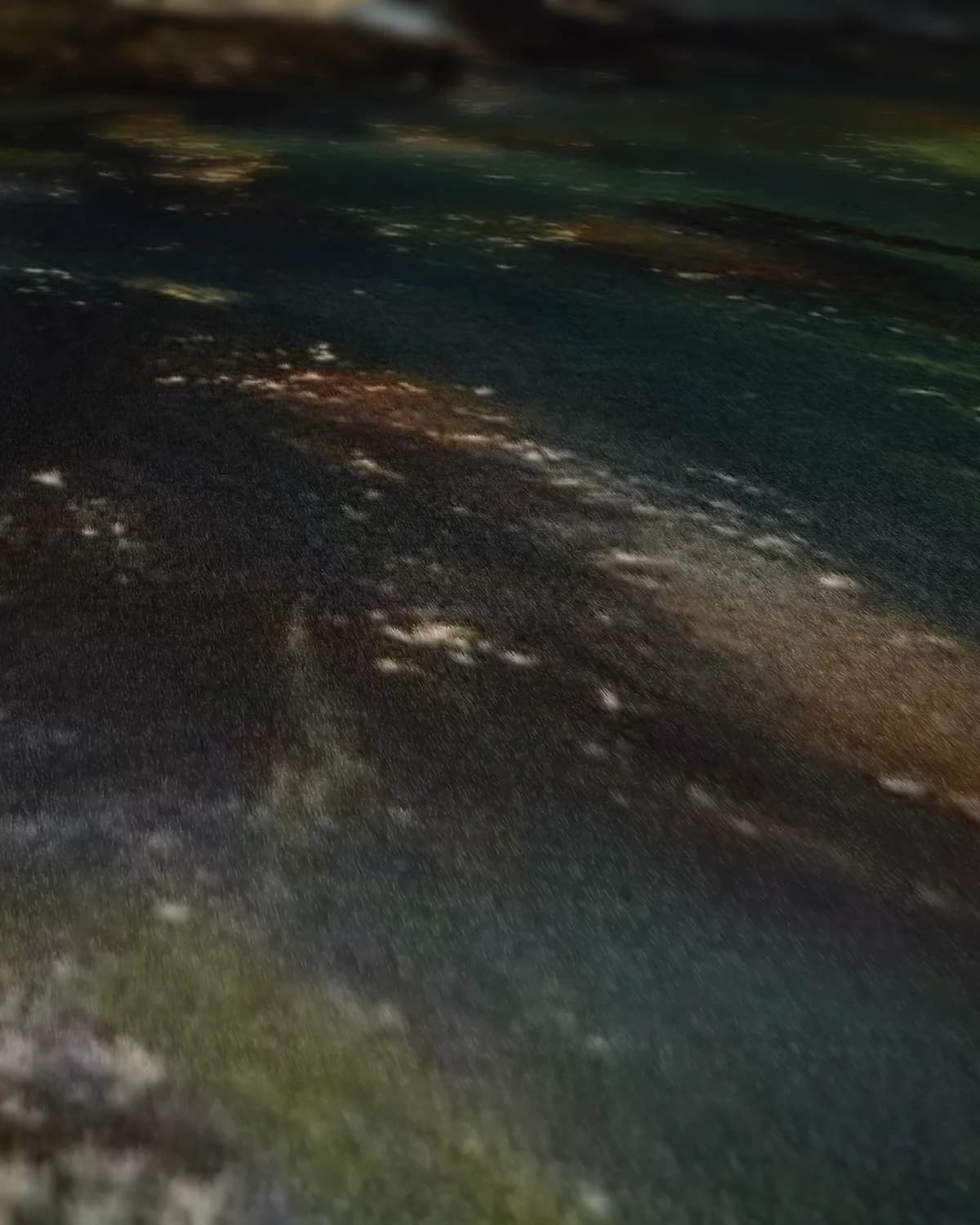 Lezeres in het bos op geweven fluweel, uitsnede 2 van 3