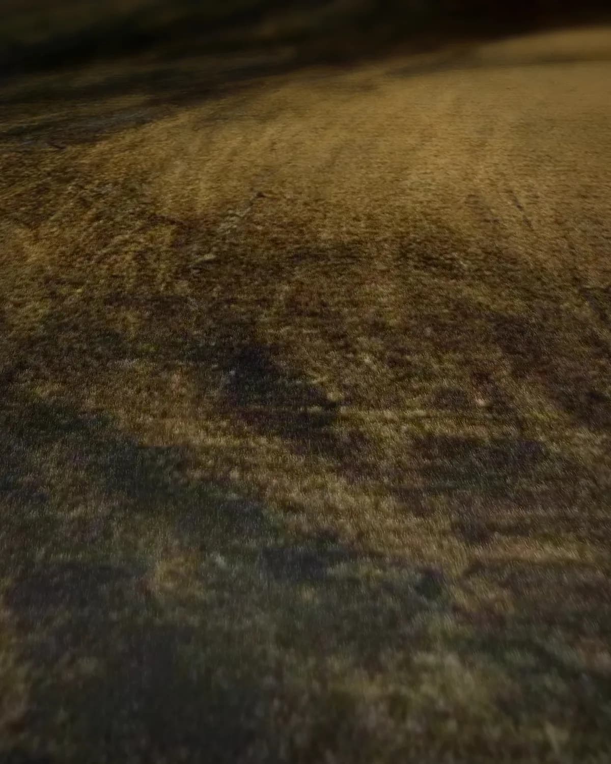 Liggend naakt op geweven fluweel, uitsnede 1 van 3