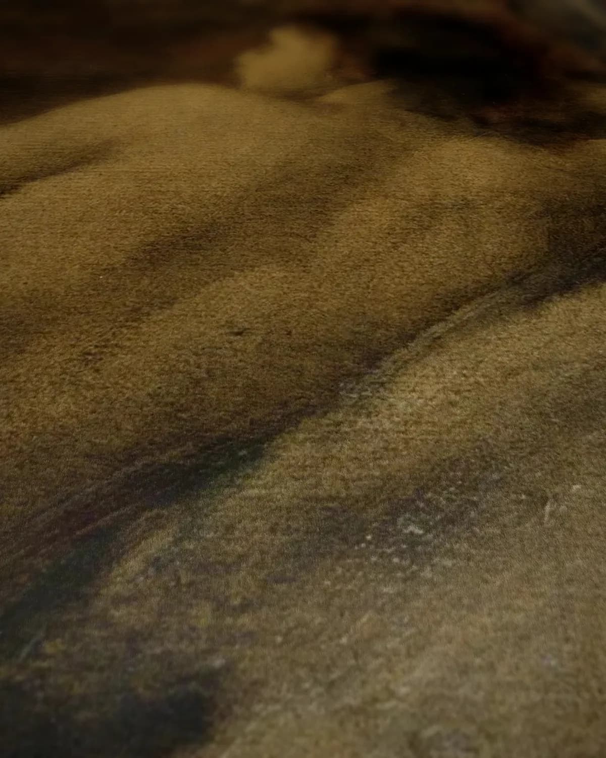 Liggend naakt op geweven fluweel, uitsnede 3 van 3