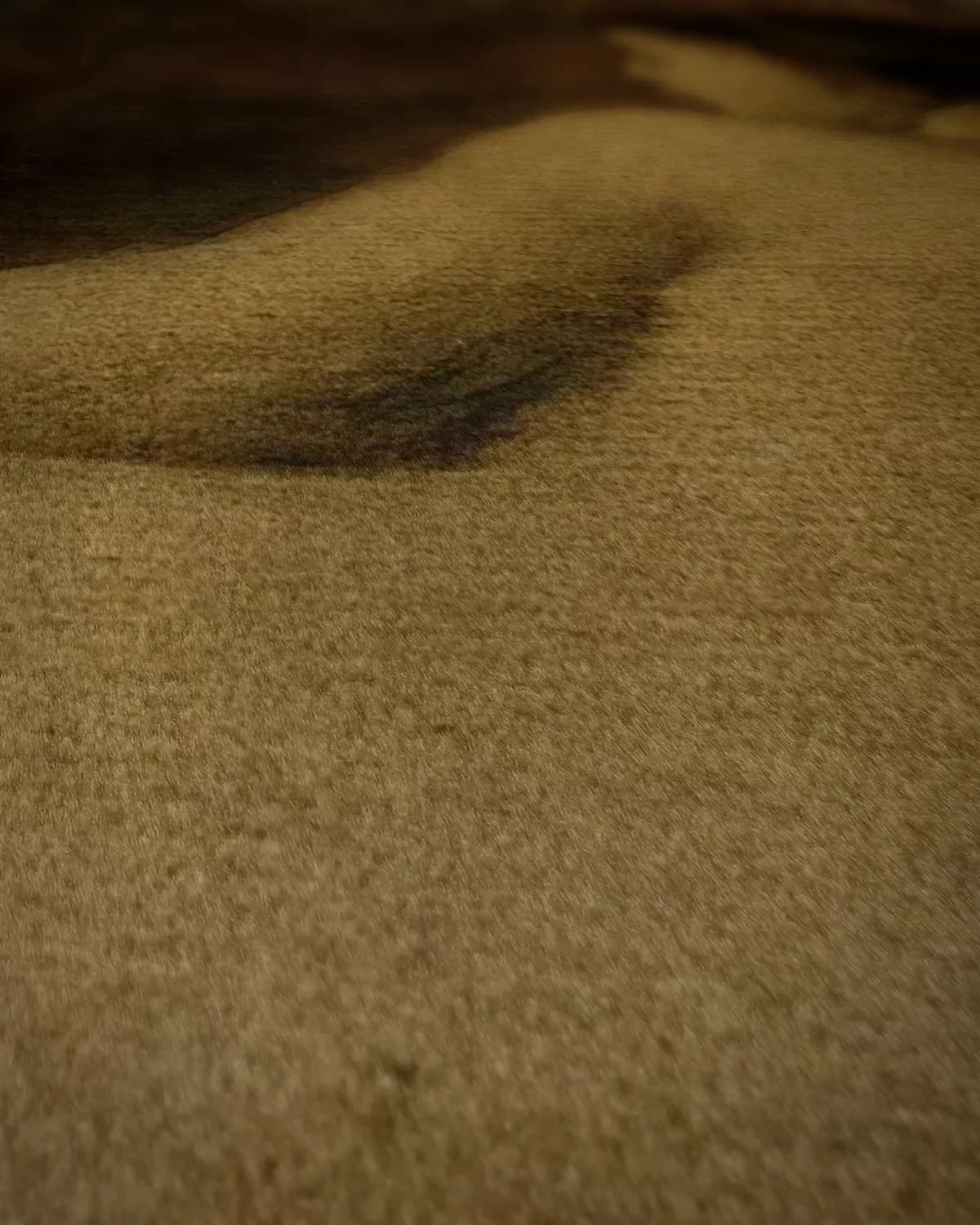 Liggend naakt op geweven fluweel, uitsnede 2 van 3