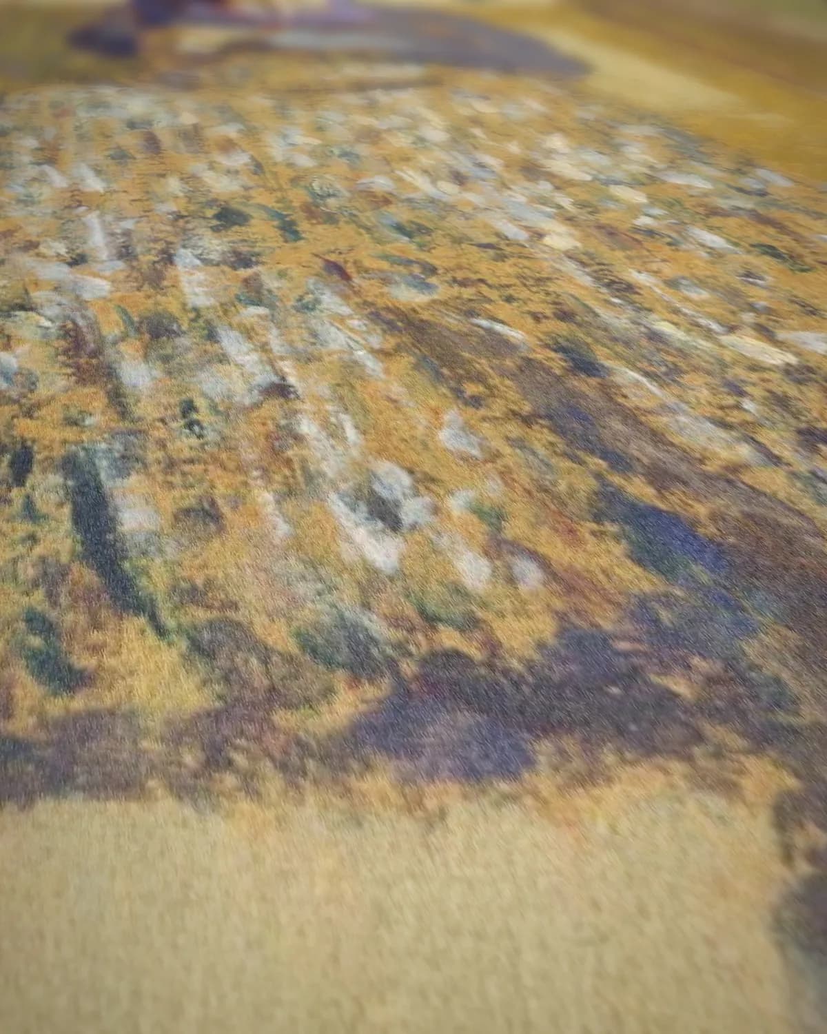 Madame Vuillard naait op geweven fluweel, uitsnede 2 van 3