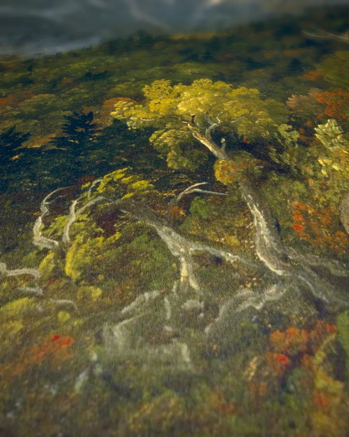 Majestueus Berglandschap op geweven fluweel, uitsnede 1 van 3