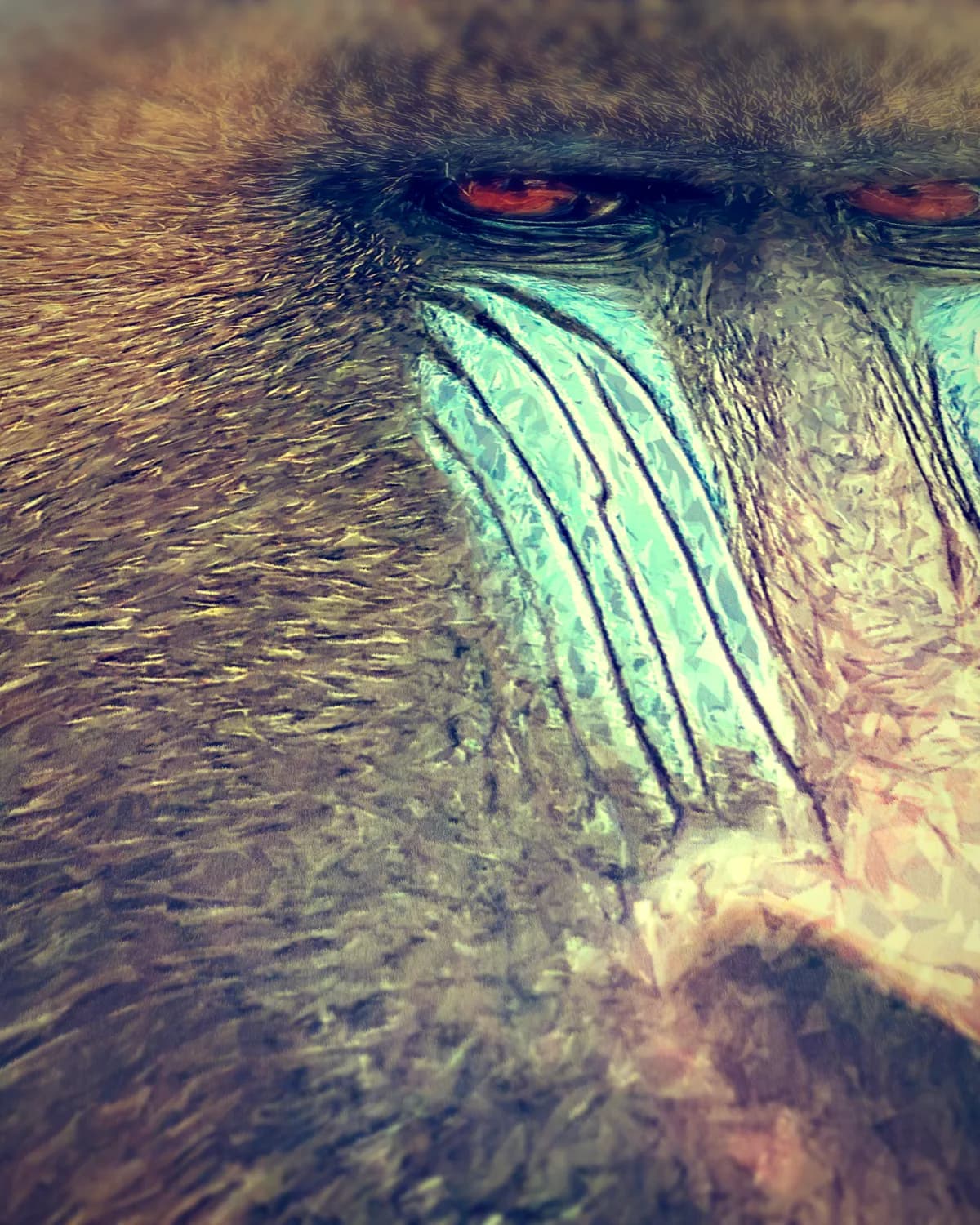 Mandril Aapje op geweven fluweel, uitsnede 3 van 3
