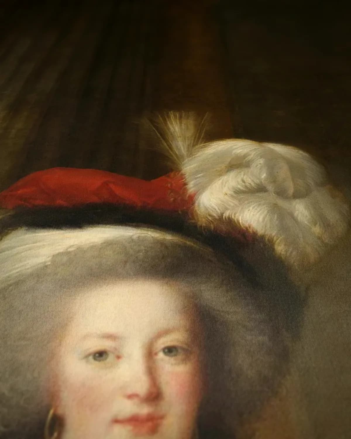 Marie Antoinette met een roos op geweven fluweel, uitsnede 3 van 3
