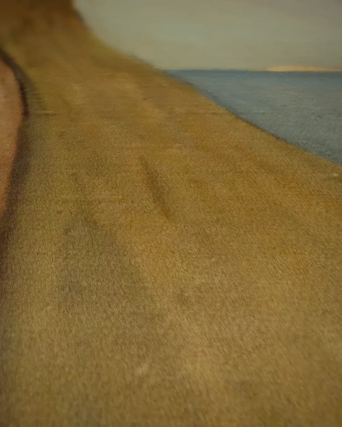 Meisje aan zee op geweven fluweel, uitsnede 2 van 3