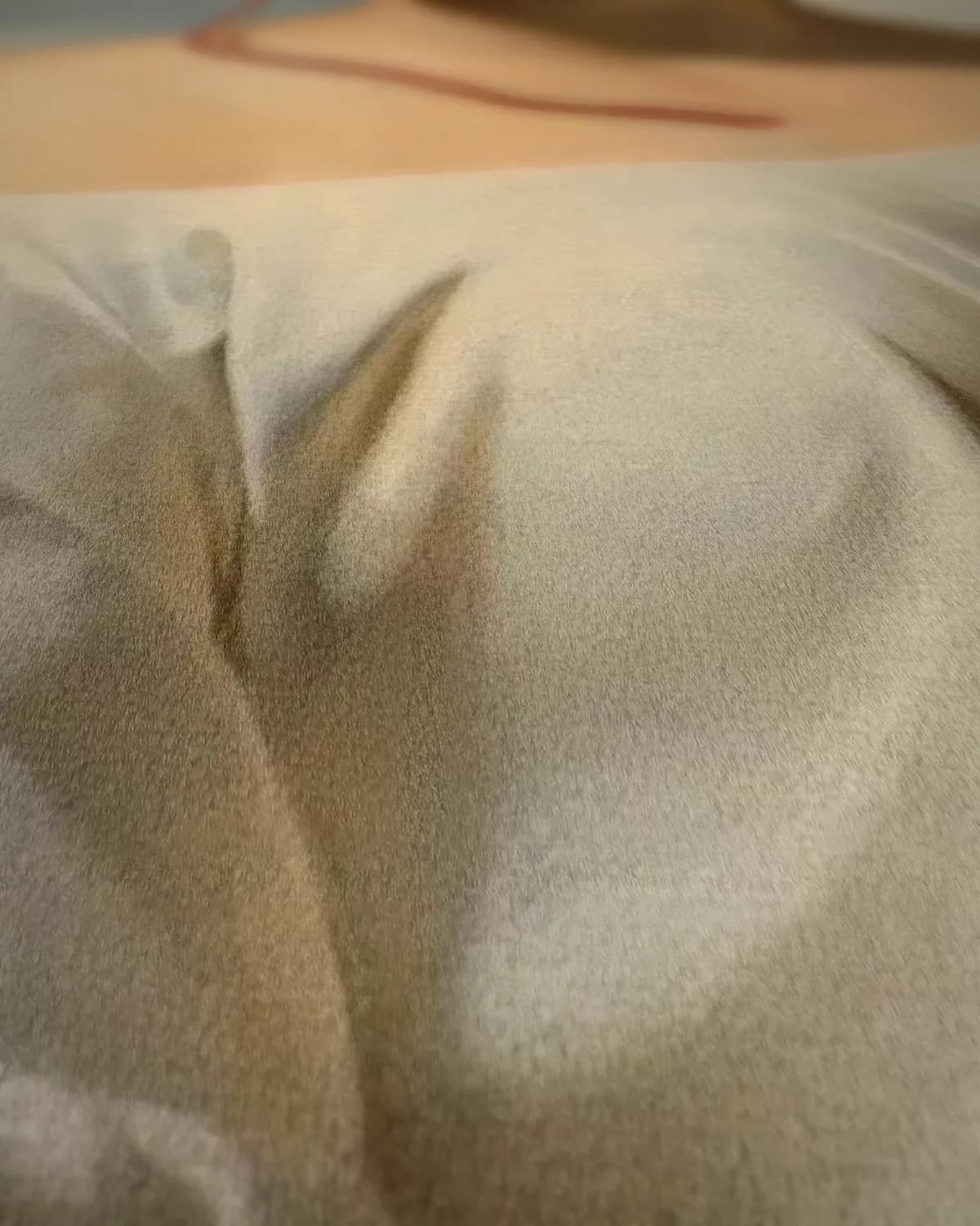 Meisje met een brede hoed op geweven fluweel, uitsnede 1 van 3