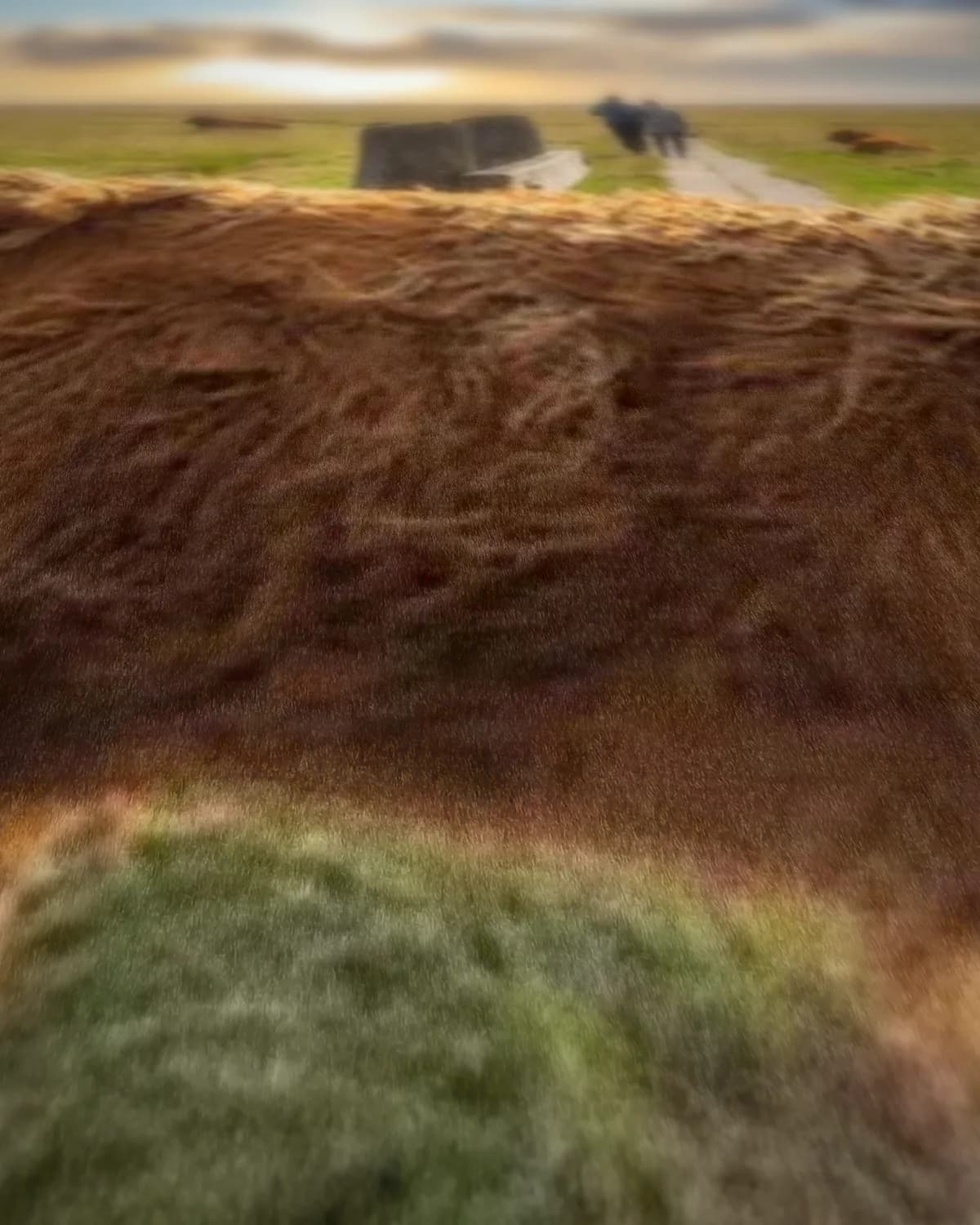 Moeder en Kind hooglanders op geweven fluweel, uitsnede 1 van 3