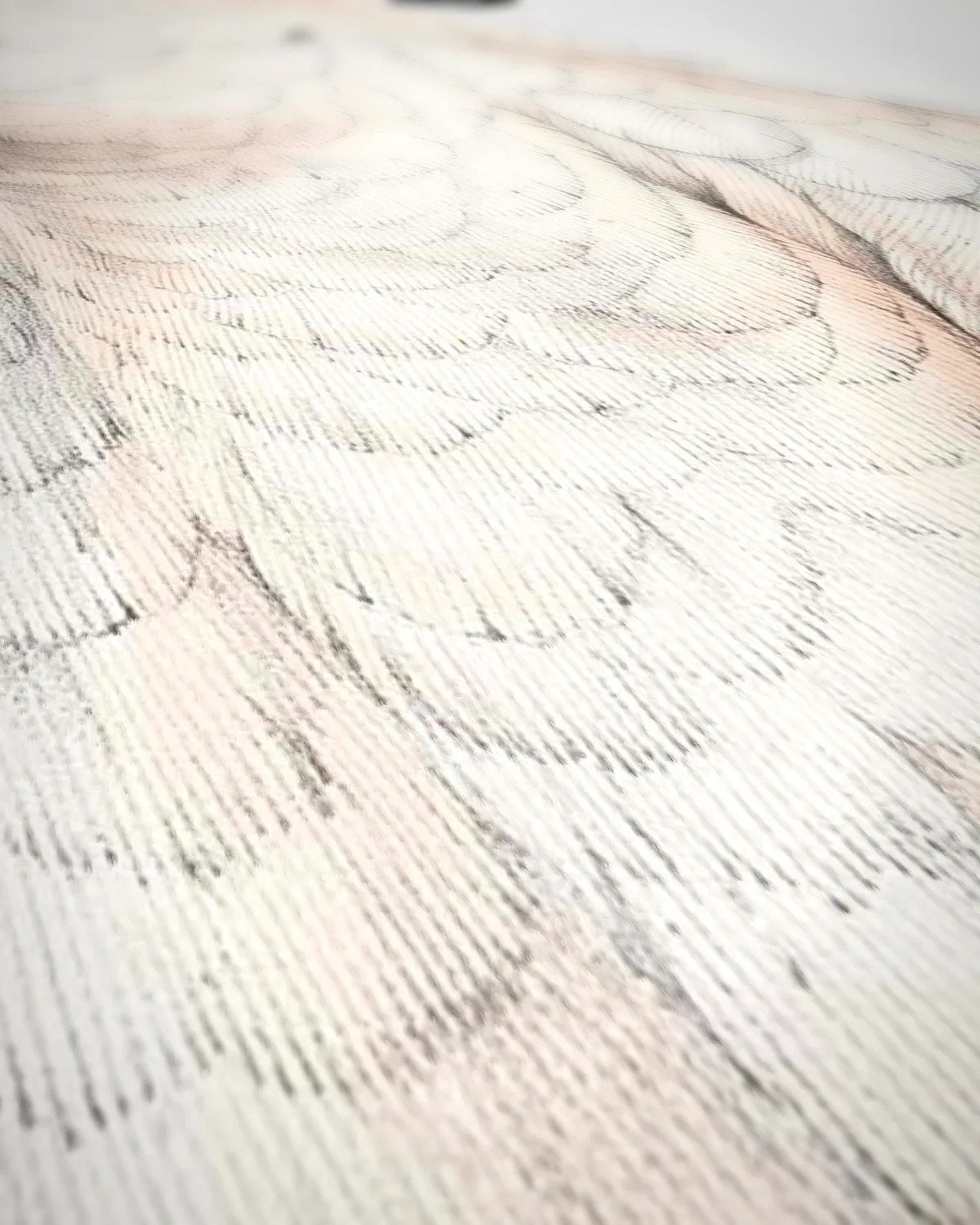 Molukkenkaketoe op geweven fluweel, uitsnede 2 van 3
