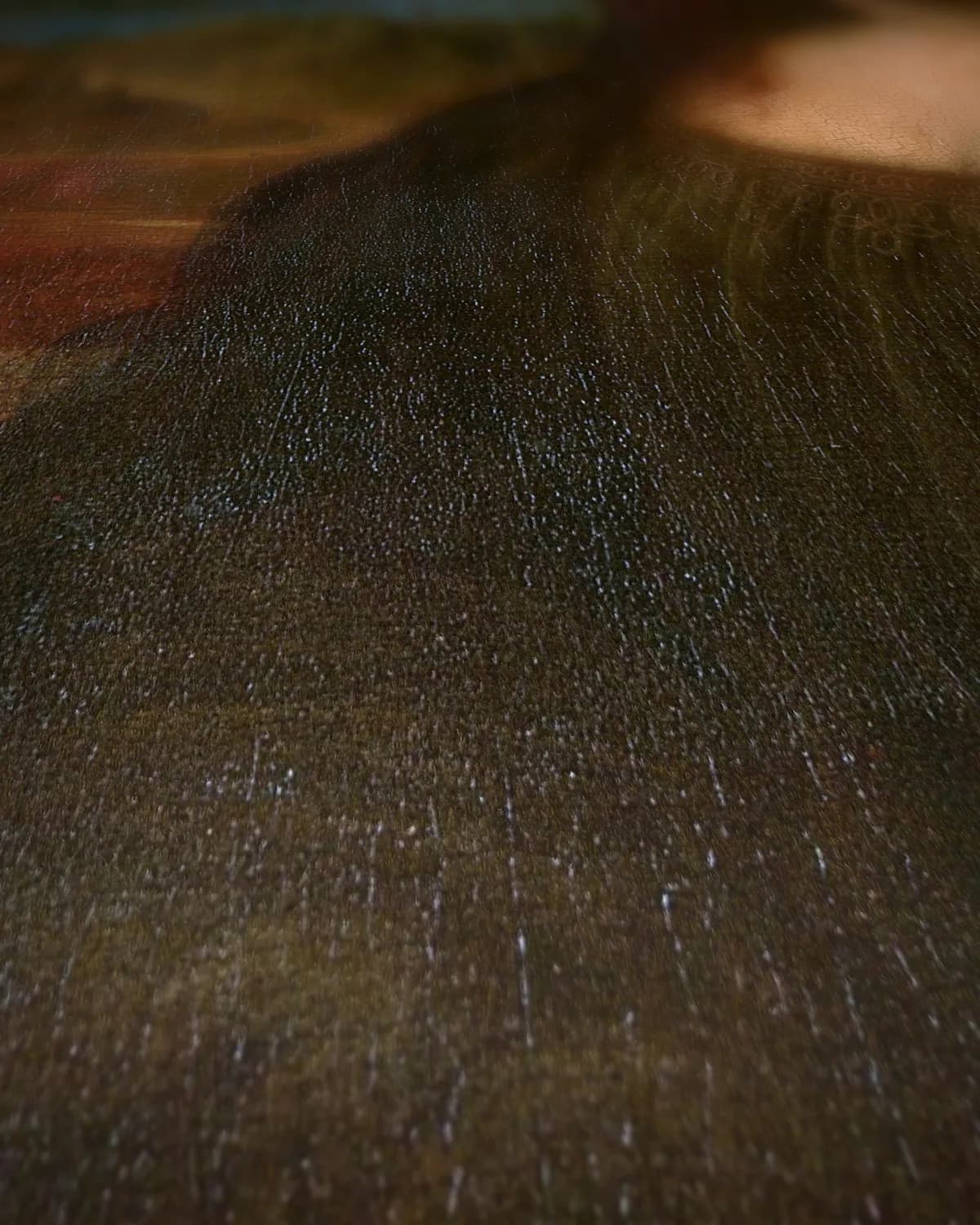 Mona Lisa op geweven fluweel, uitsnede 1 van 3