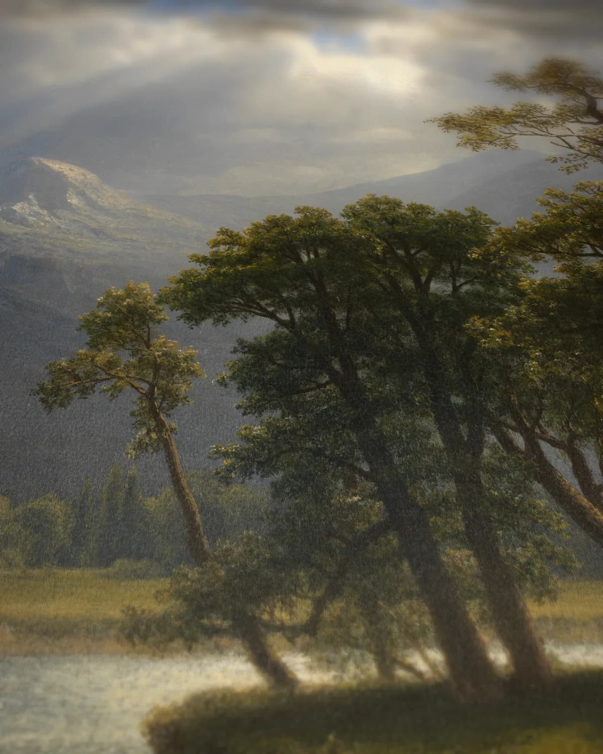 Mount Starr King, Yosemite op geweven fluweel, uitsnede 3 van 3