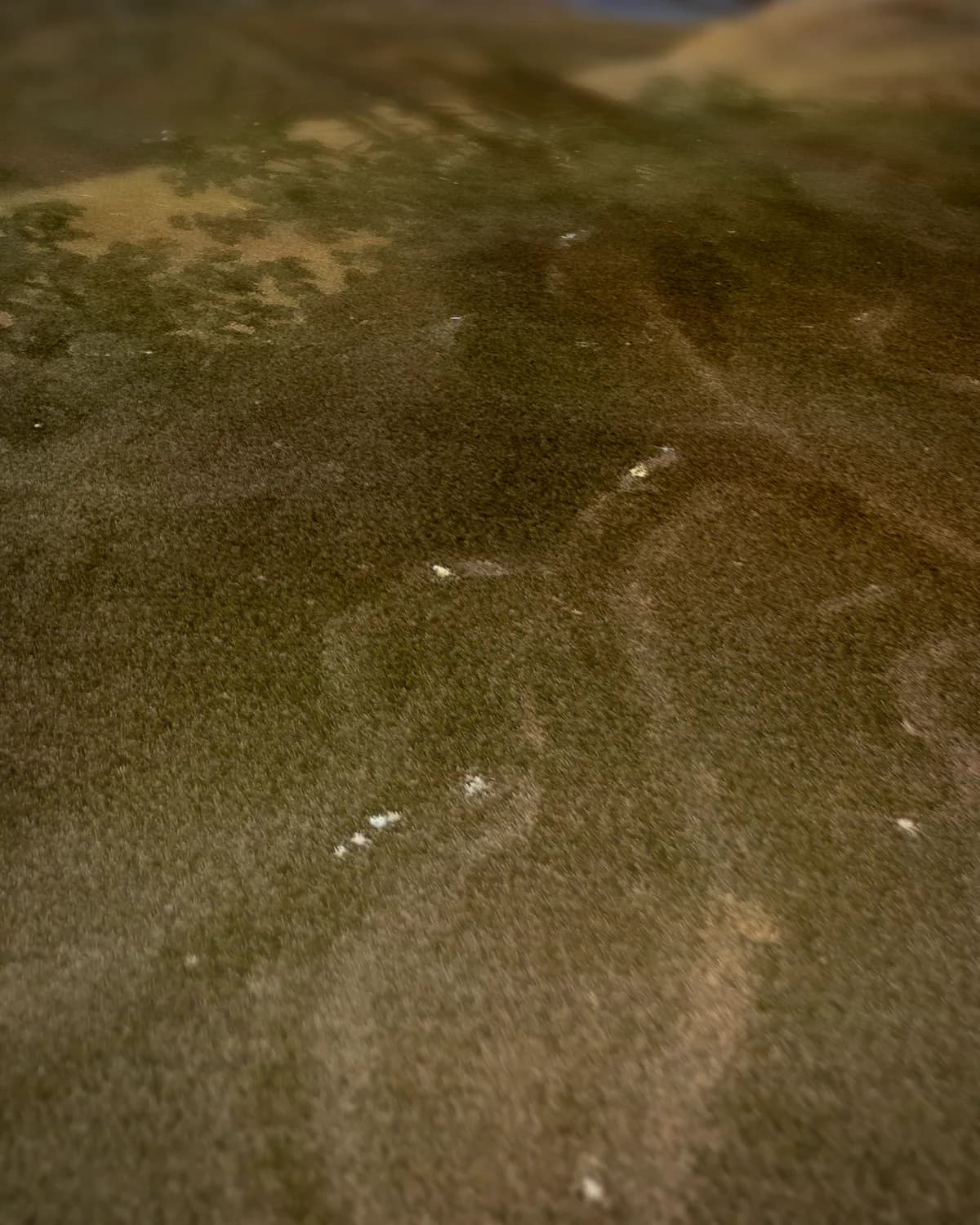 Nacht in het bos bij maanlicht op geweven fluweel, uitsnede 2 van 3