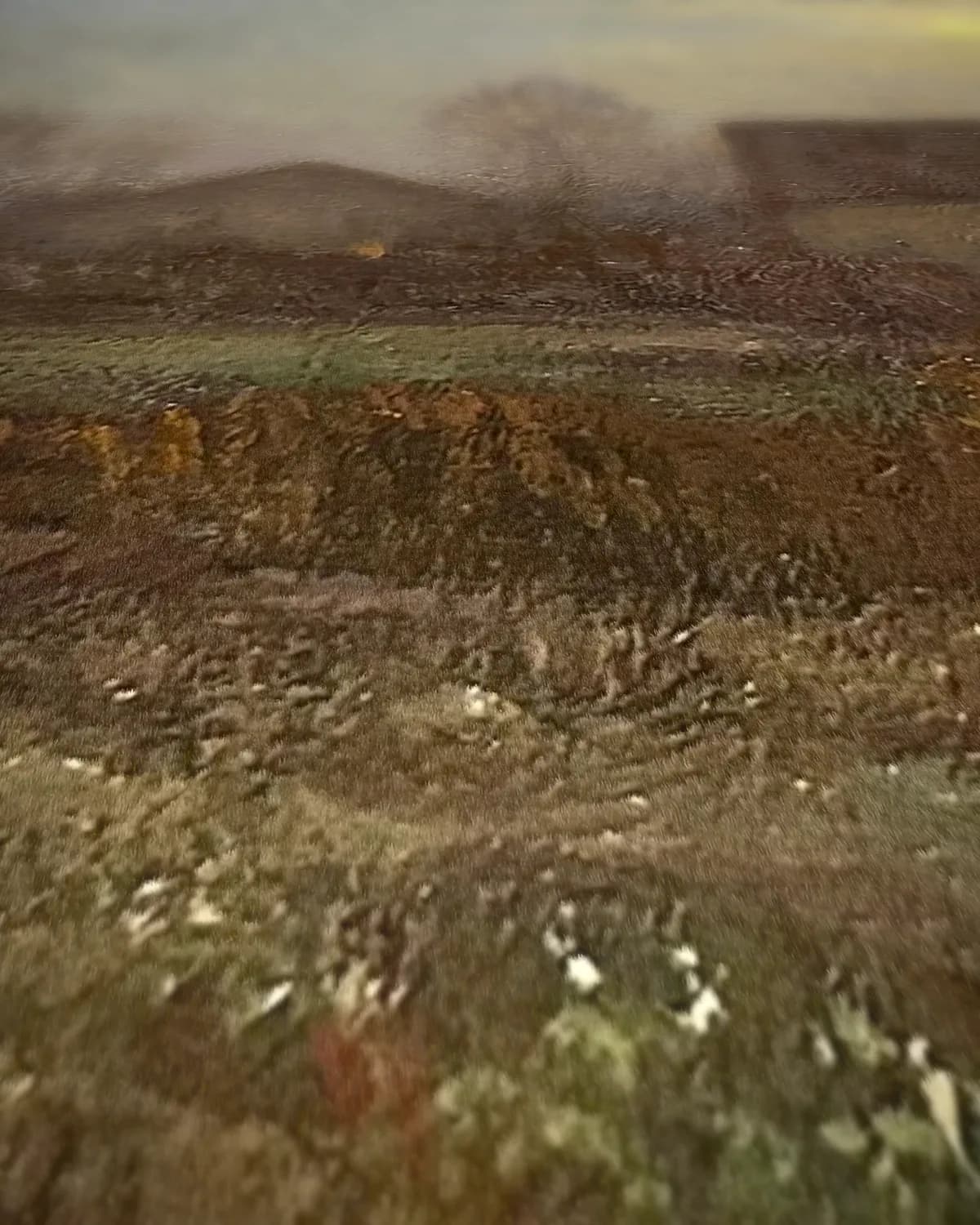 Nachtelijk landschap op geweven fluweel, uitsnede 1 van 3