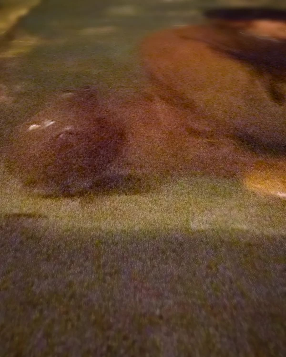 Oude man in een kroeg op geweven fluweel, uitsnede 1 van 3