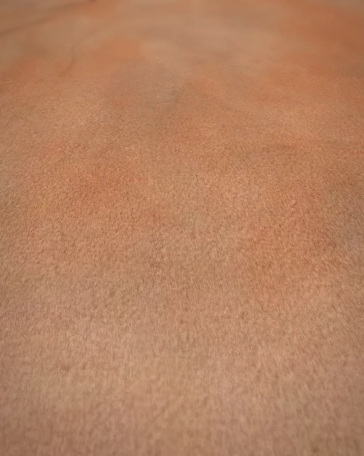 Over de schouder op geweven fluweel, uitsnede 1 van 3