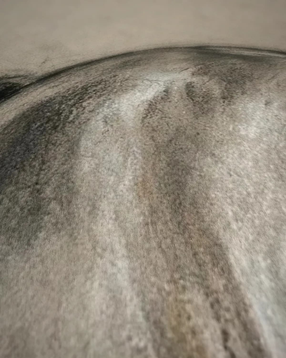 Paard in beweging op geweven fluweel, uitsnede 1 van 3