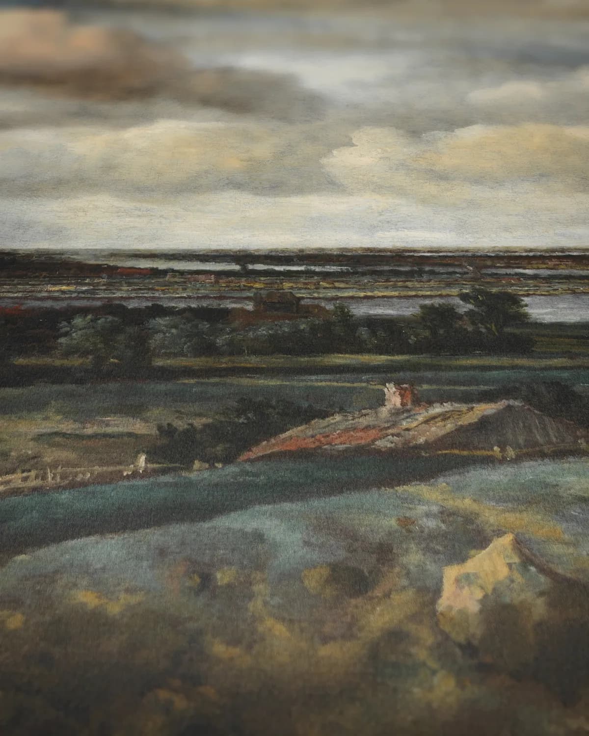 Panoramalandschap met Haarlem in de verte (1654) op geweven fluweel, uitsnede 3 van 3