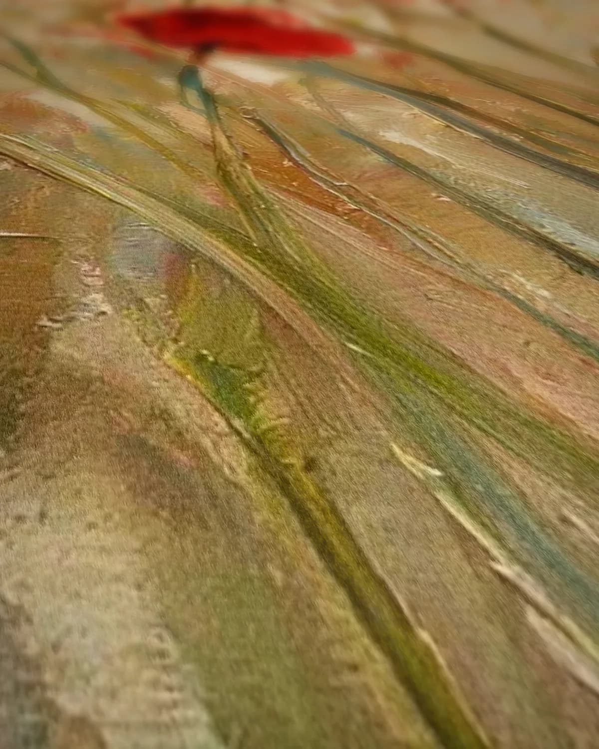Papavers op lange stelen op geweven fluweel, uitsnede 2 van 3