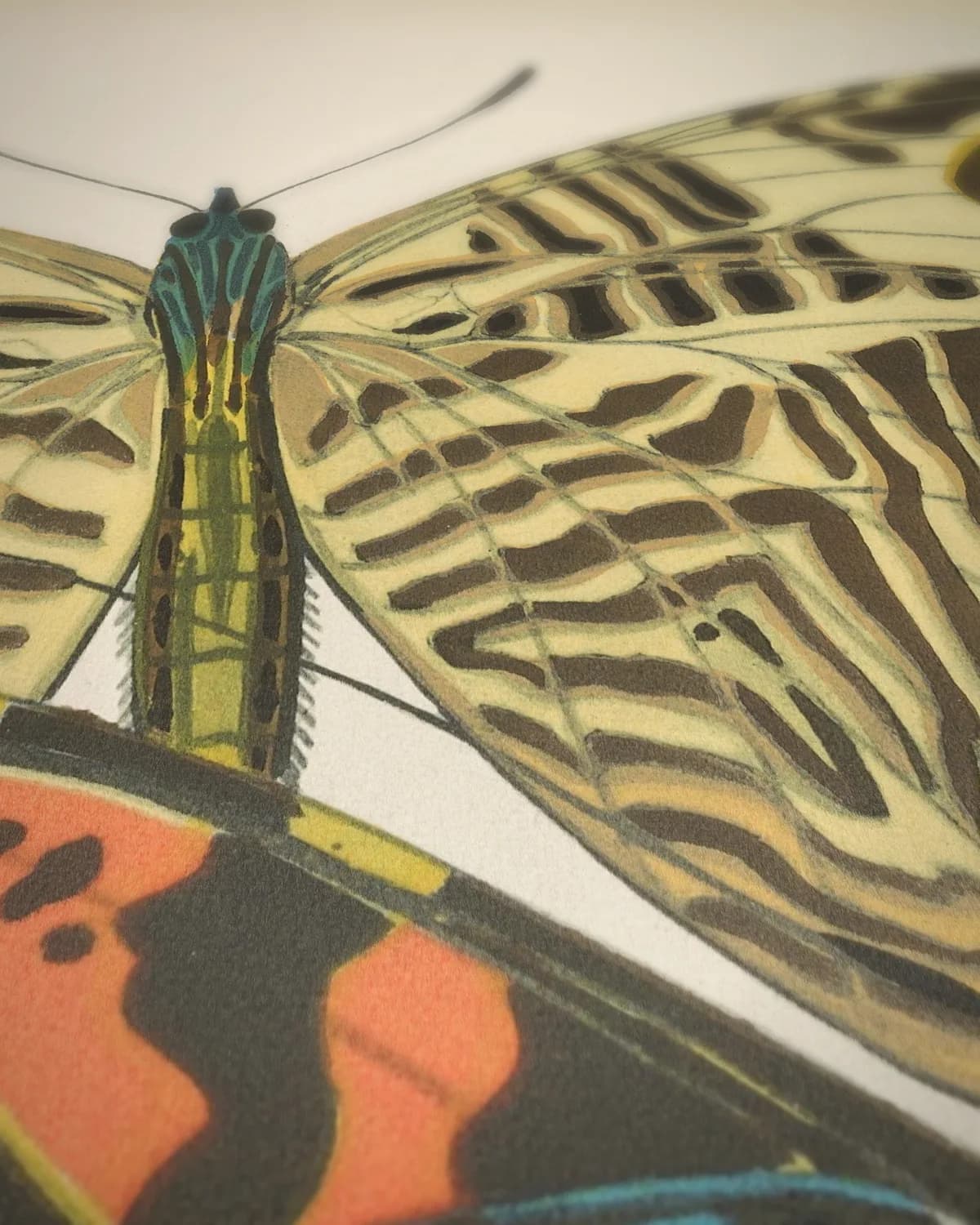 Papillons Pl. 03 (1920) op geweven fluweel, uitsnede 3 van 3