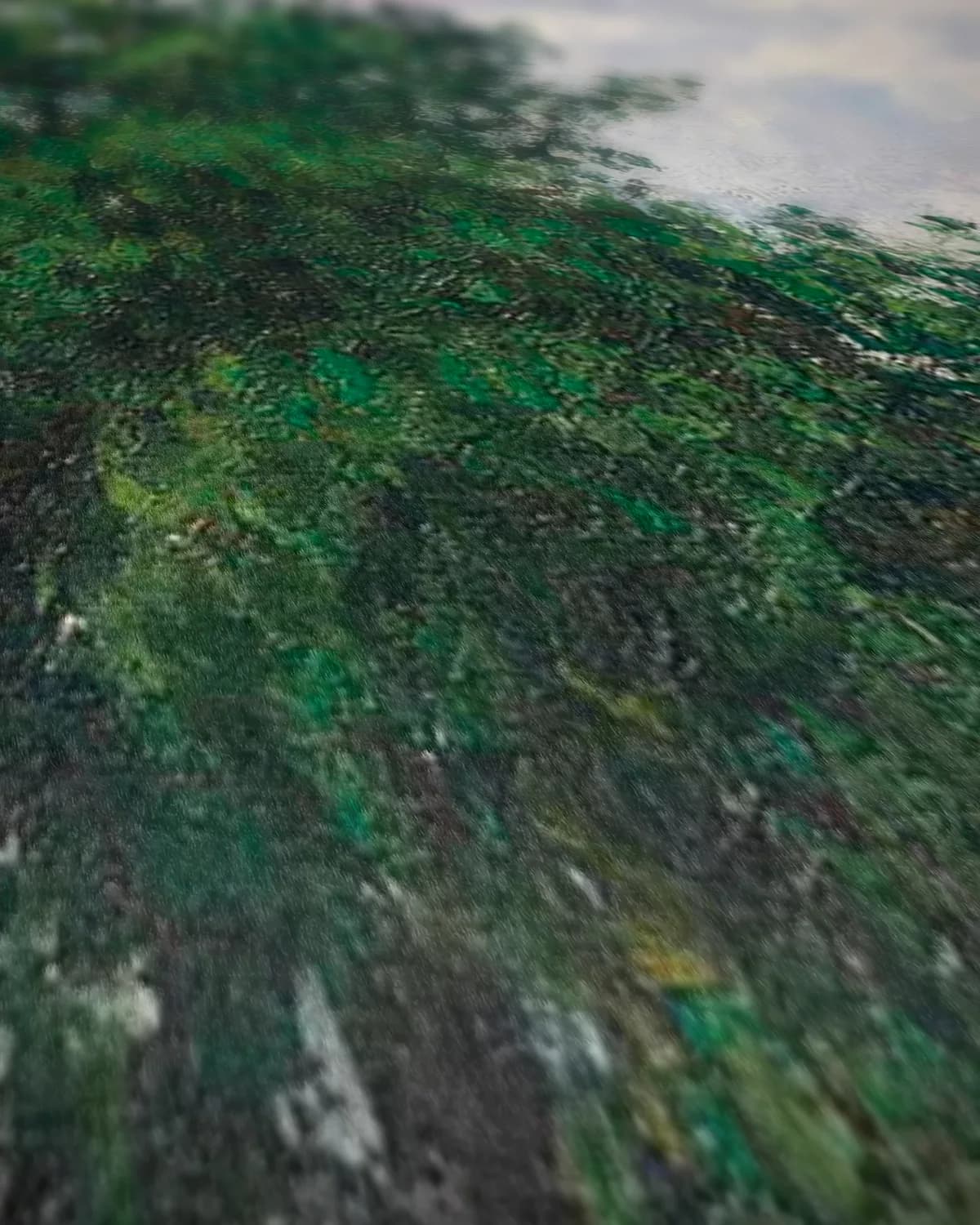 Landschap met populieren, grijs weer, Éragny op geweven fluweel, uitsnede 2 van 3