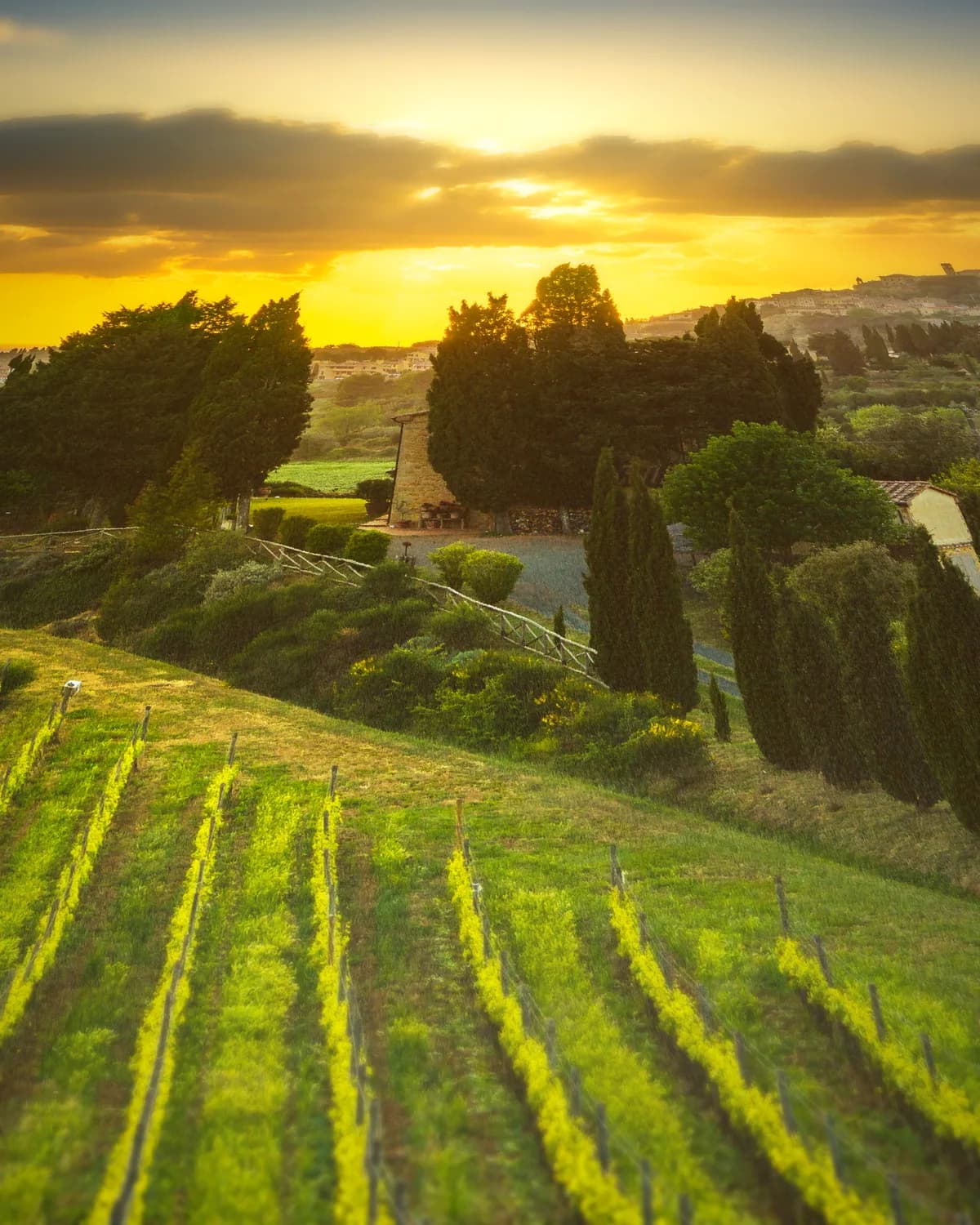 Pisa Tuscany, Italy op geweven fluweel, uitsnede 3 van 3