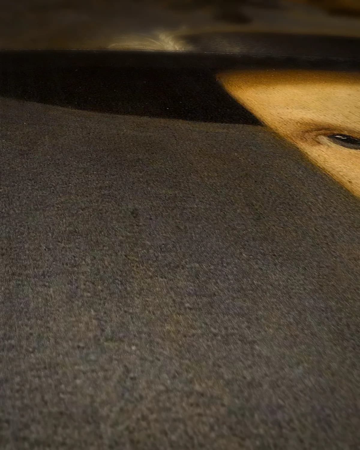 Portret van een jongen op geweven fluweel, uitsnede 2 van 3