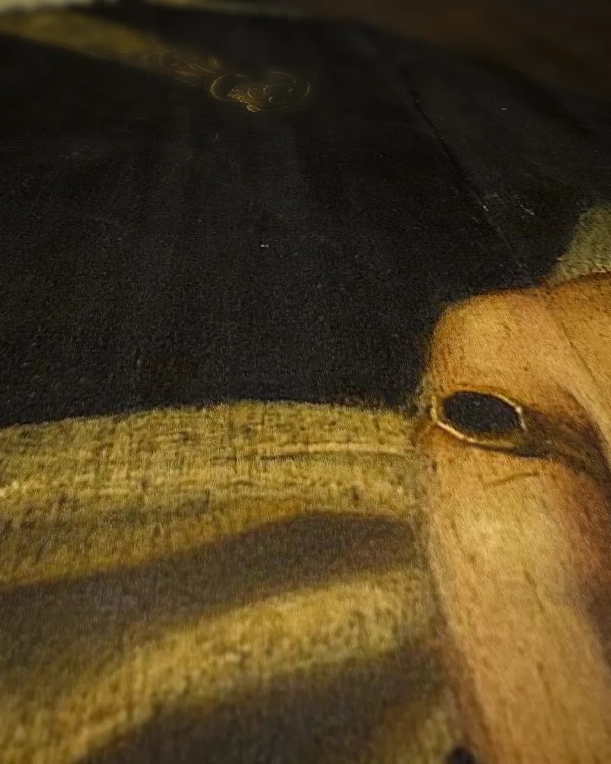 Portret van Adam van Westerwolt (1580-1639) op geweven fluweel, uitsnede 1 van 3