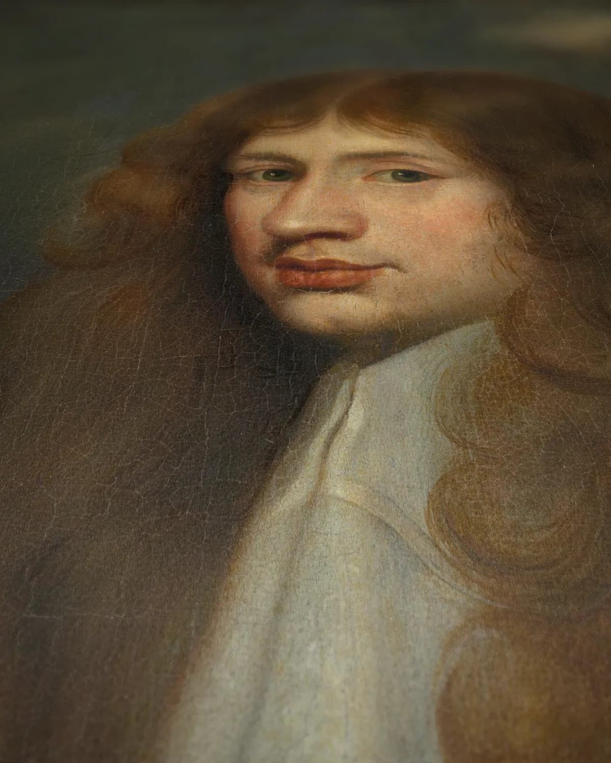 Portret van Cornelis van Aerssen, heer van Sommelsdijk op geweven fluweel, uitsnede 3 van 3