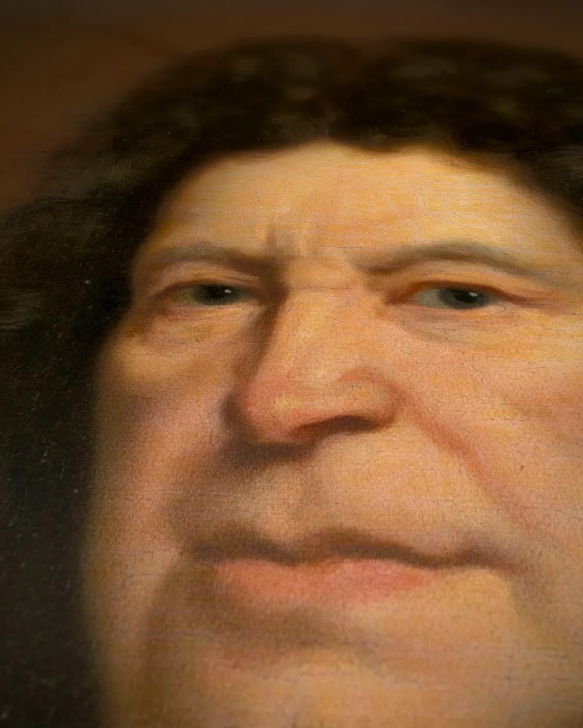 Portret van Diederik van Hogendorp (1625-1702) op geweven fluweel, uitsnede 3 van 3