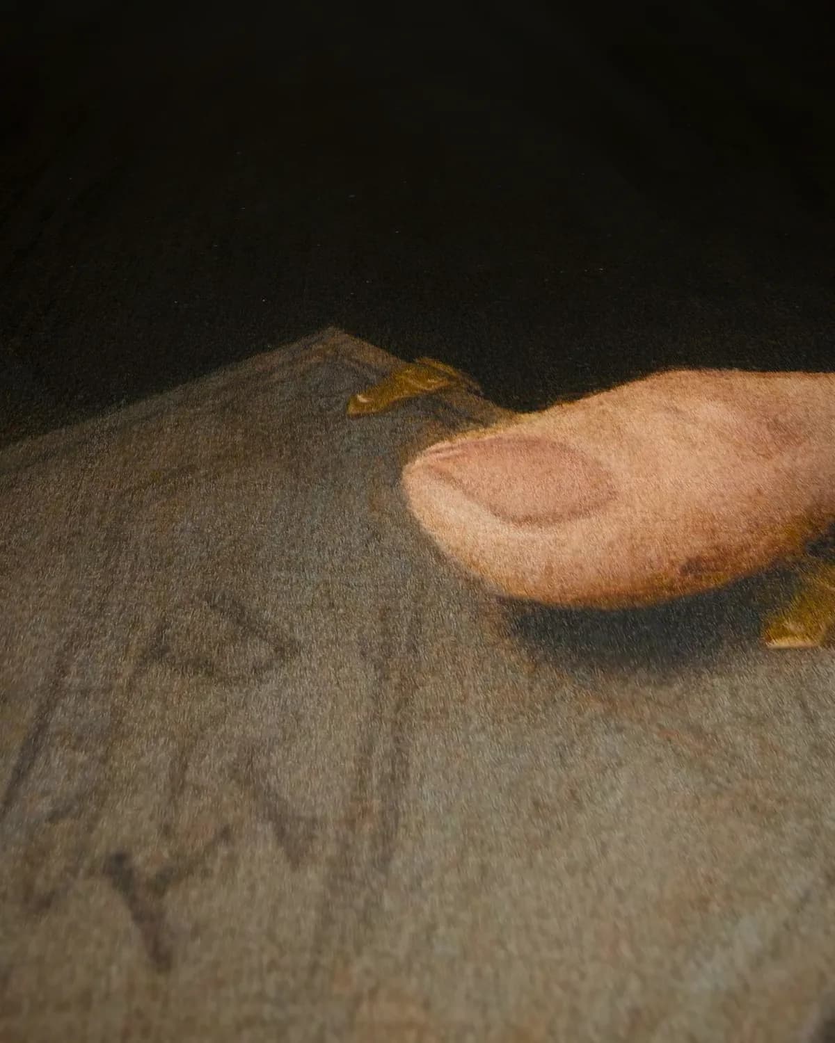 Portret van een jonge geestelijke op geweven fluweel, uitsnede 1 van 3
