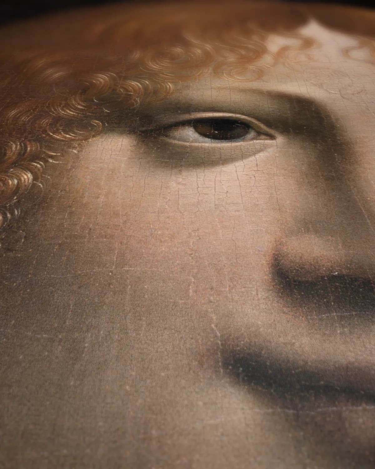 Portret van een jongeman als de heilige Sebastiaan op geweven fluweel, uitsnede 3 van 3