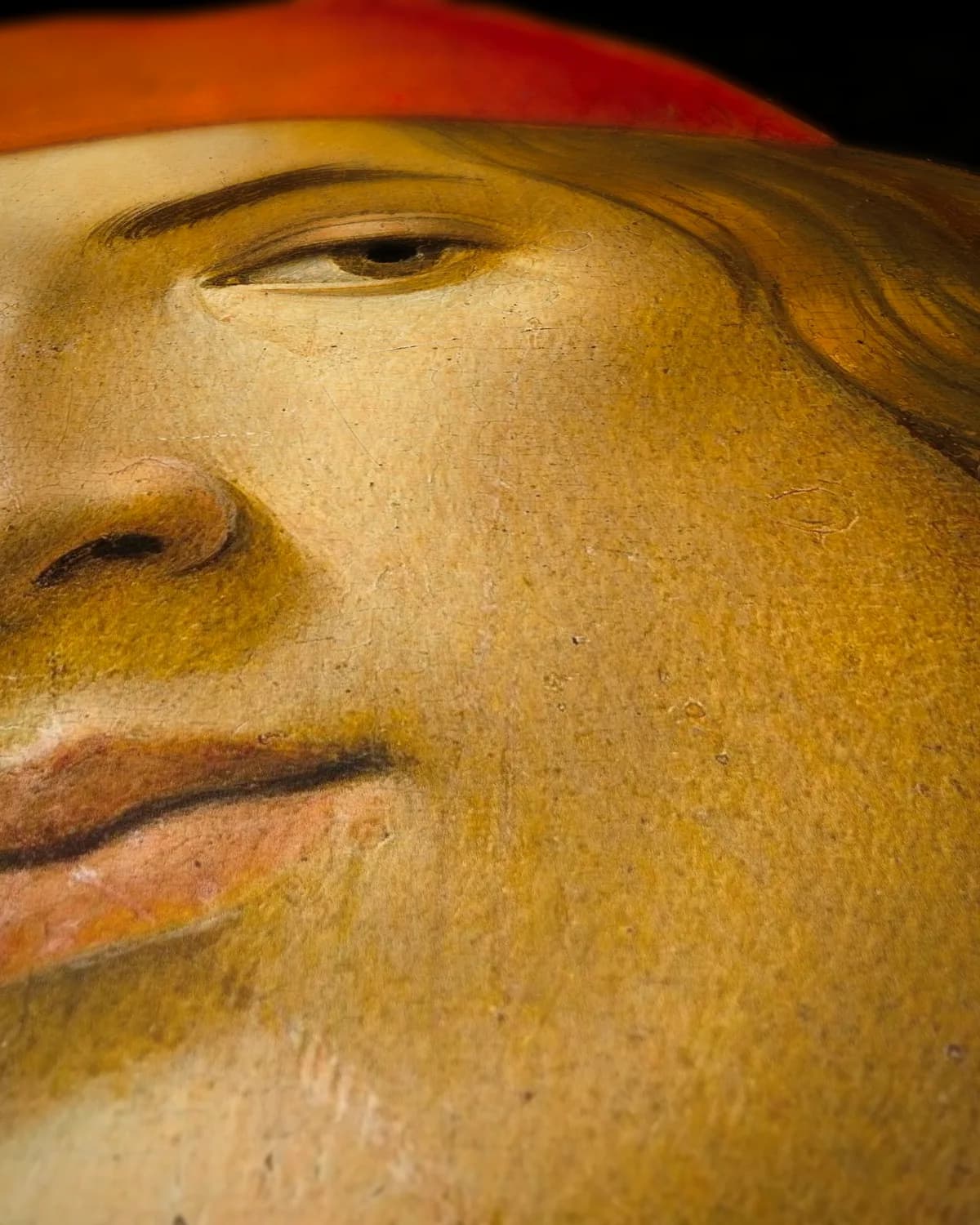 Portret van een Jongeman op geweven fluweel, uitsnede 3 van 3