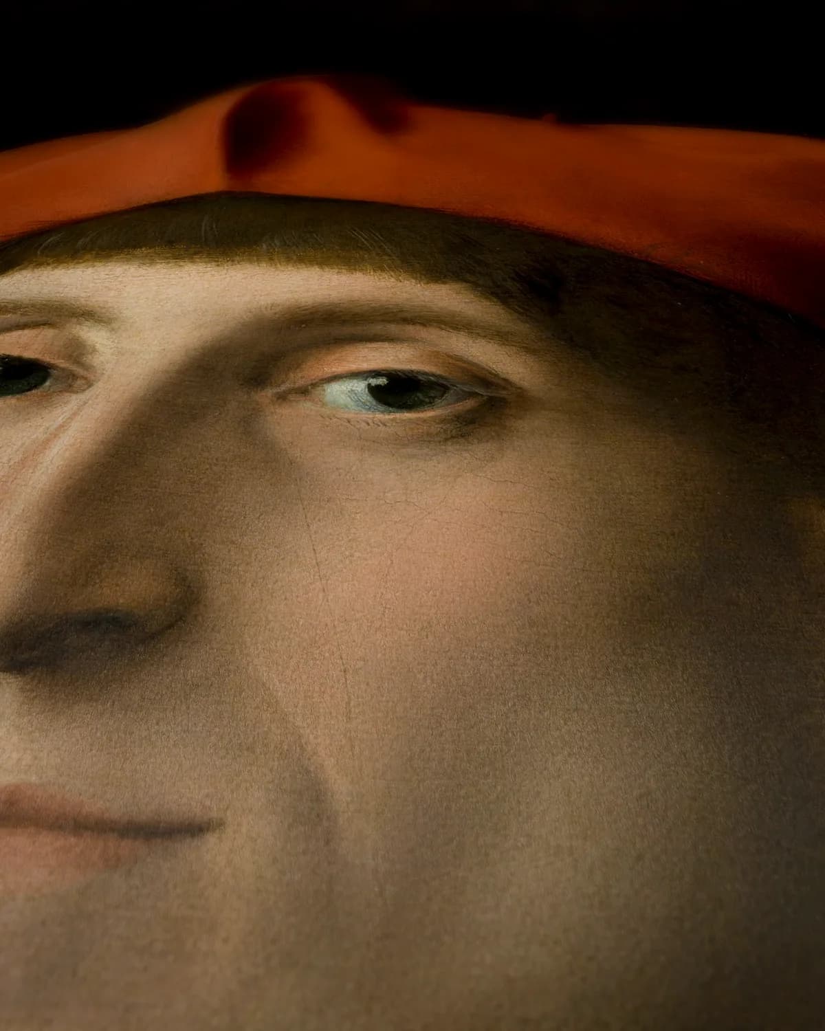 Portret van een kardinaal op geweven fluweel, uitsnede 3 van 3