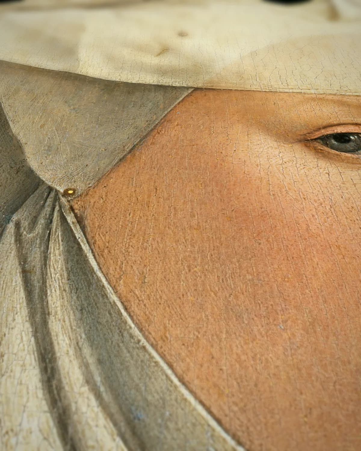 Portret van een Vrouw met Gevleugelde Kap op geweven fluweel, uitsnede 3 van 3