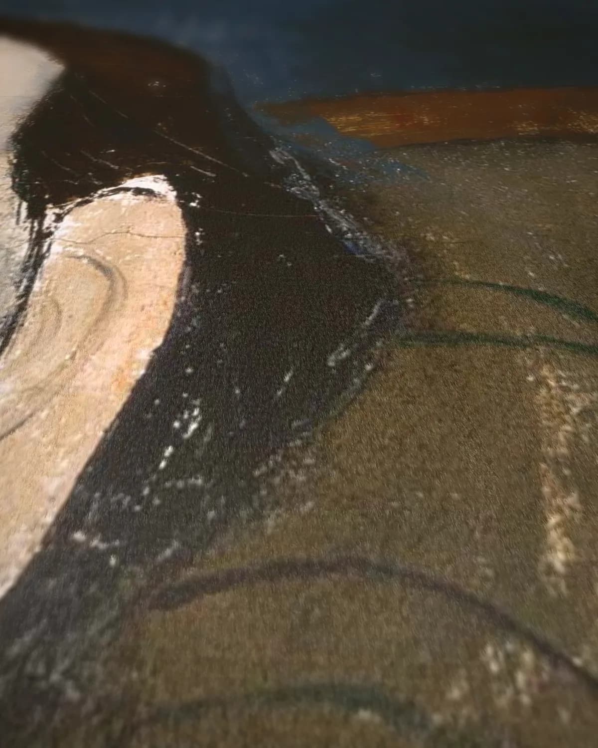 Portret van Elena Povolozky op geweven fluweel, uitsnede 1 van 3