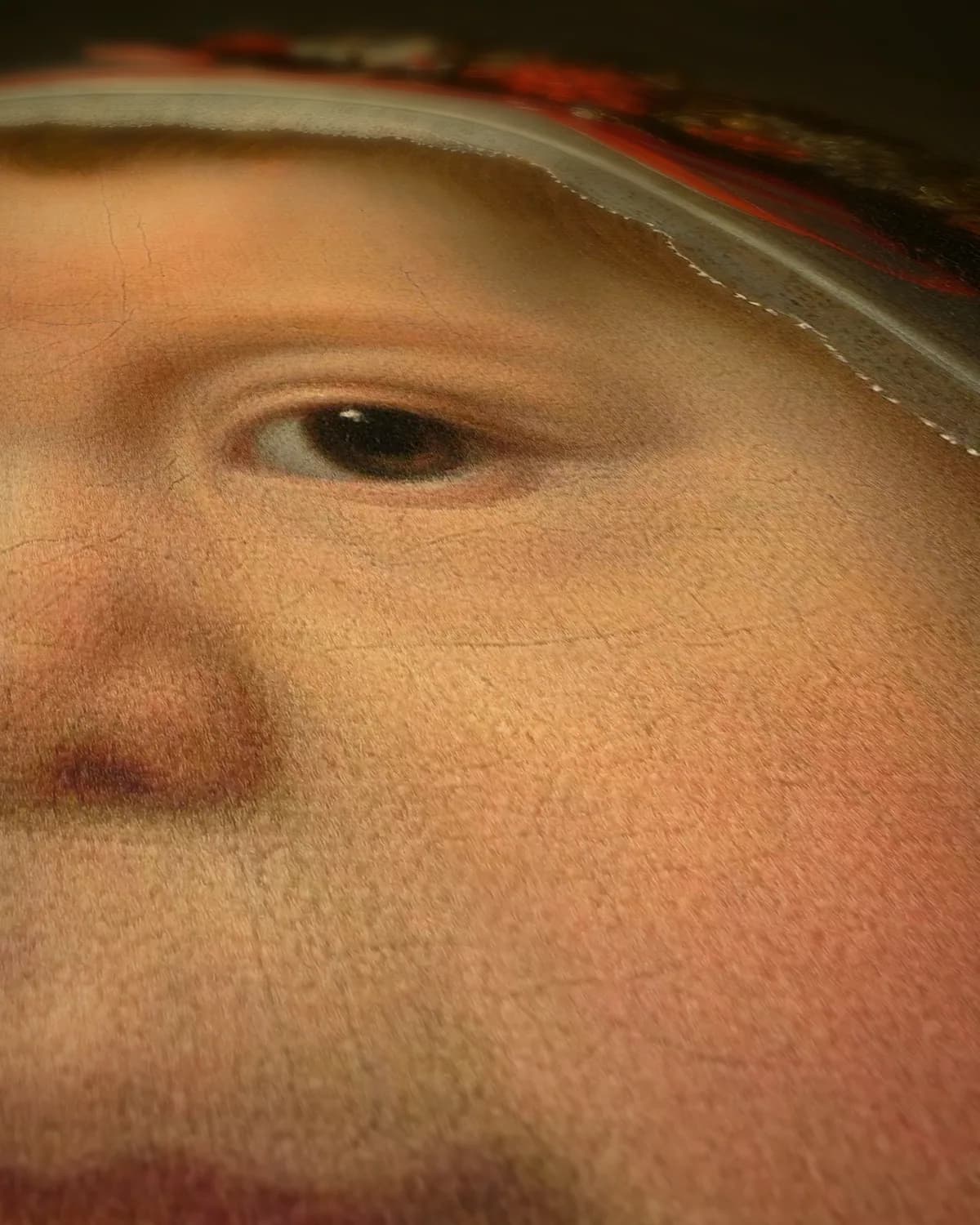 Portret van Jacoba Bontemantel (1643) op geweven fluweel, uitsnede 2 van 3