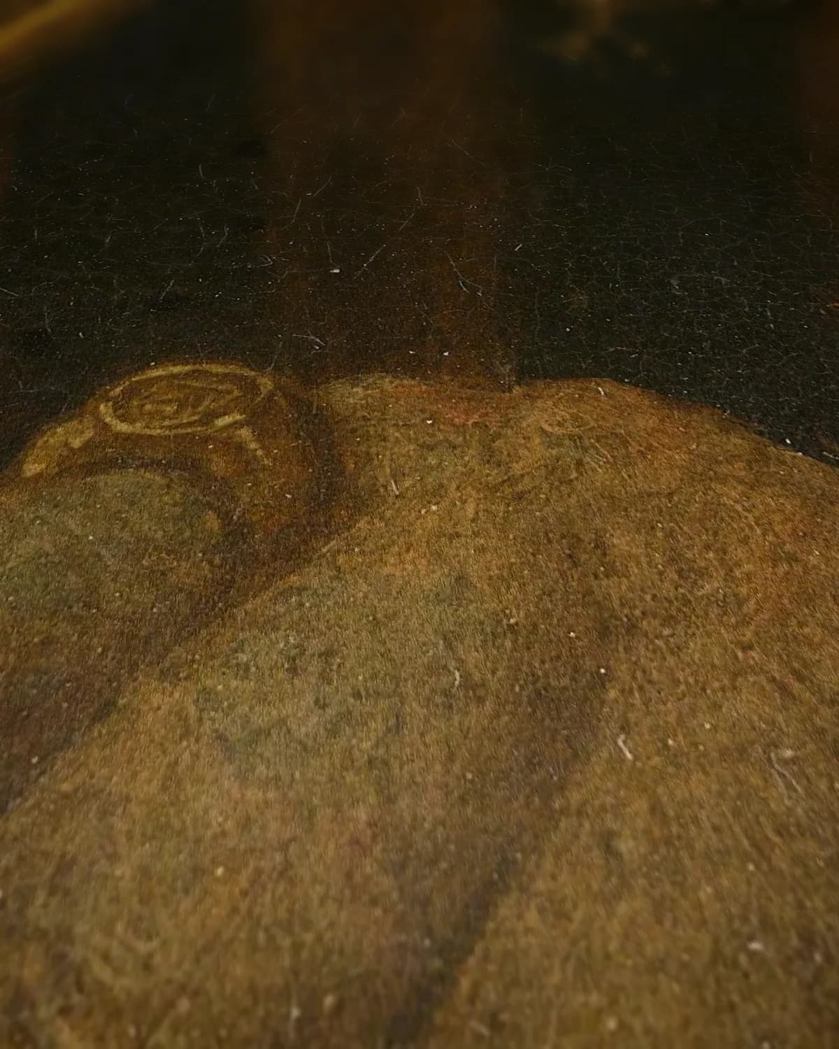 Portret van Jan van Egmond (1438-1516), graaf van Egmond op geweven fluweel, uitsnede 1 van 3