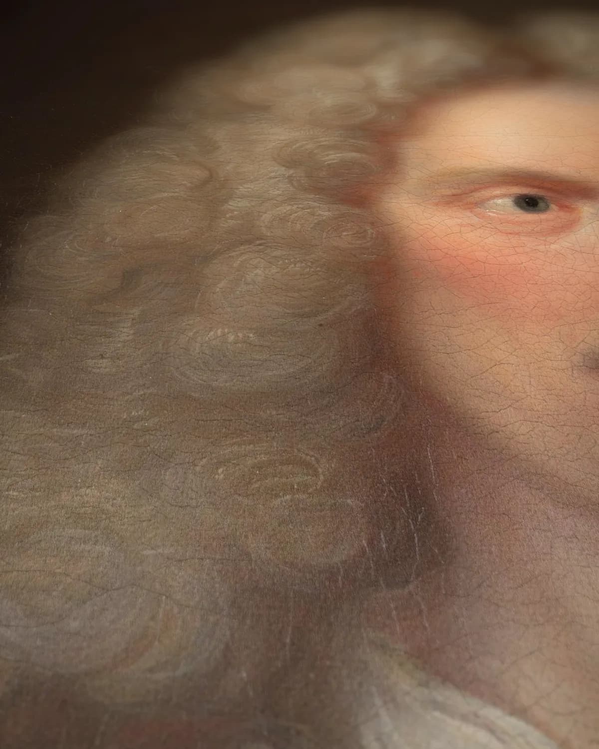 Portret van Jan van Huysum op geweven fluweel, uitsnede 3 van 3