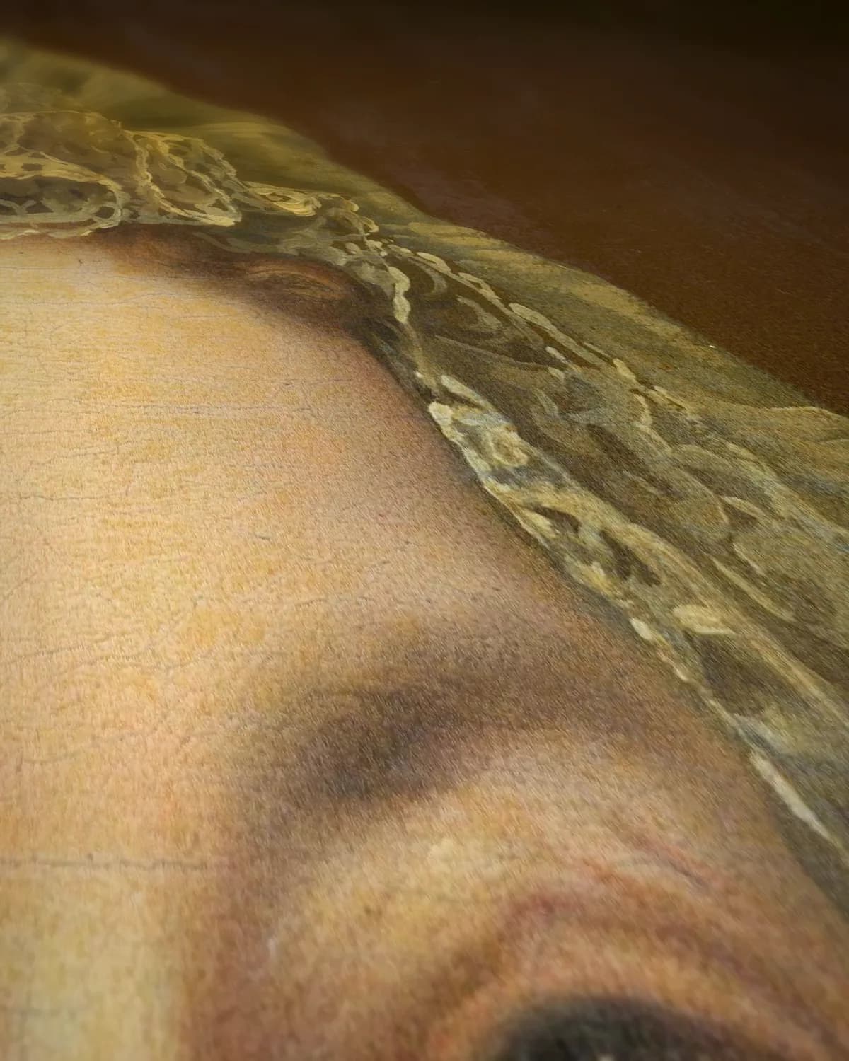 Portret van Petronella Kettingh (1632-1707) op geweven fluweel, uitsnede 2 van 3