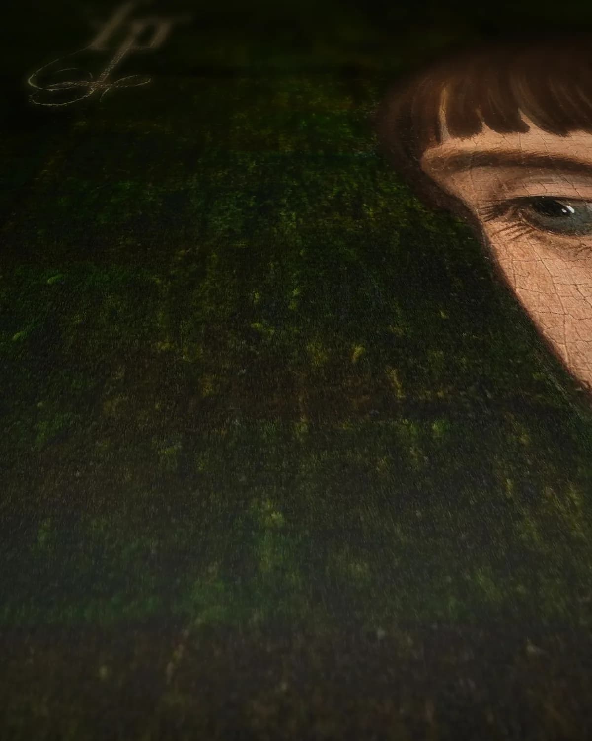 Portret van Philippe de Croy op geweven fluweel, uitsnede 1 van 3