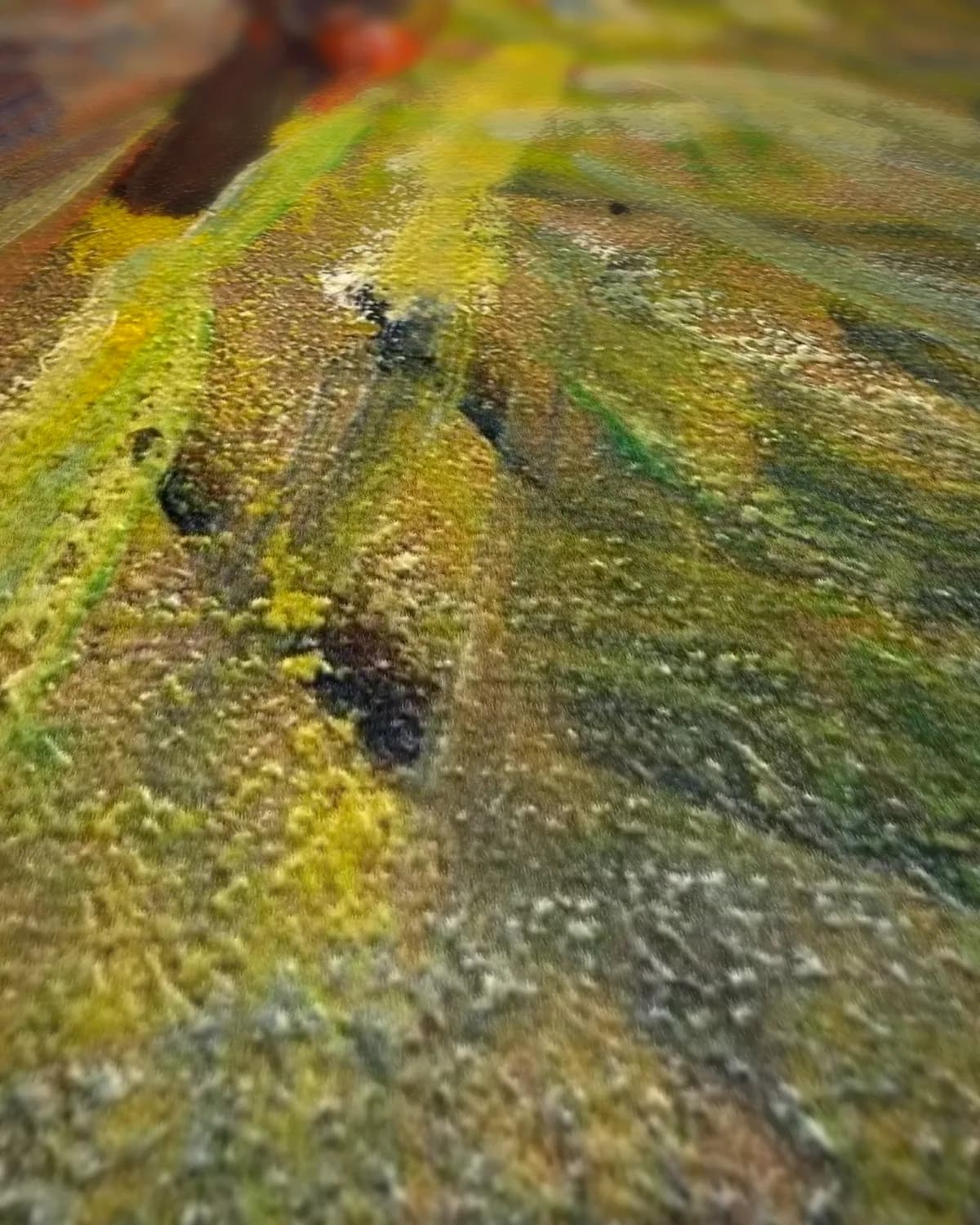 Portret van Pierre, de zoon van de kunstenares op geweven fluweel, uitsnede 1 van 3