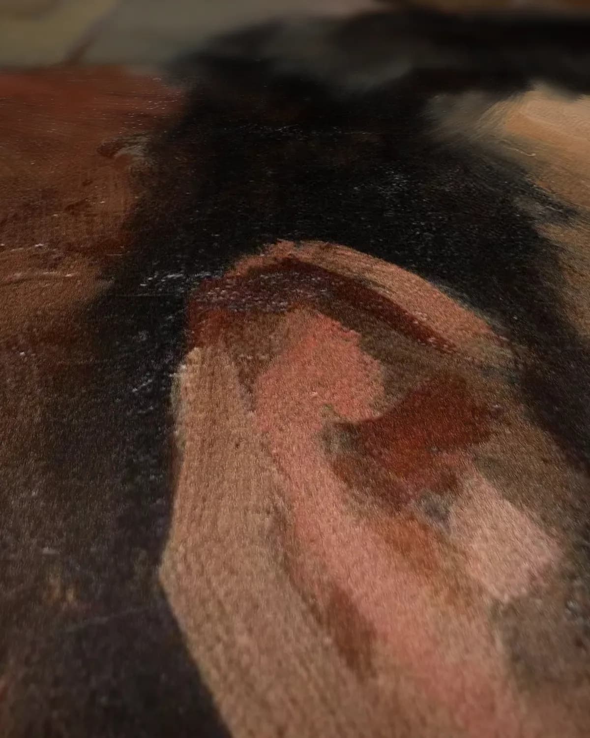 Portret van Renoir op geweven fluweel, uitsnede 1 van 3