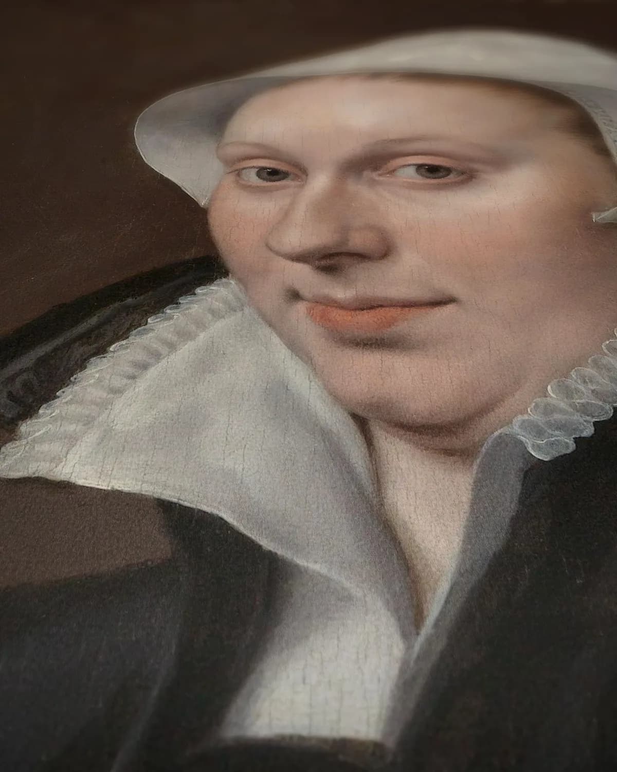 Portretten van Sir Thomas Gresham en Anne Fernely op geweven fluweel, uitsnede 3 van 3