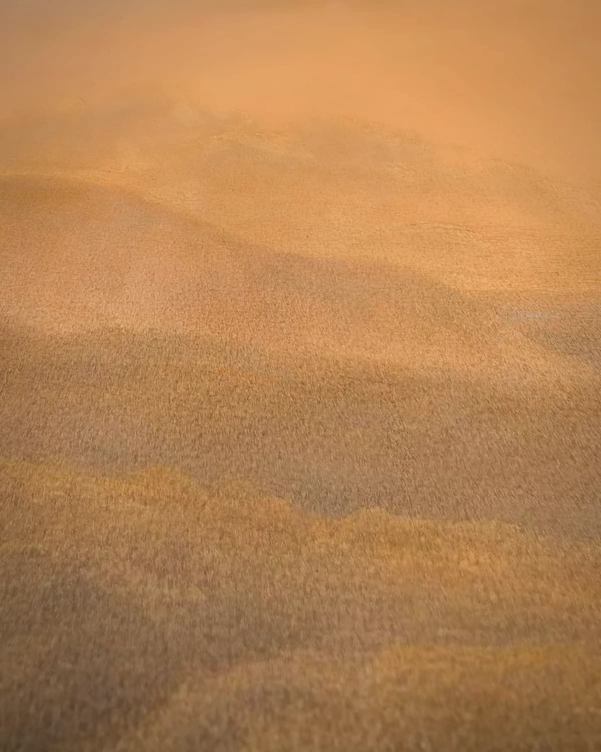Rivier in de Ardennen bij zonsondergang op geweven fluweel, uitsnede 1 van 3