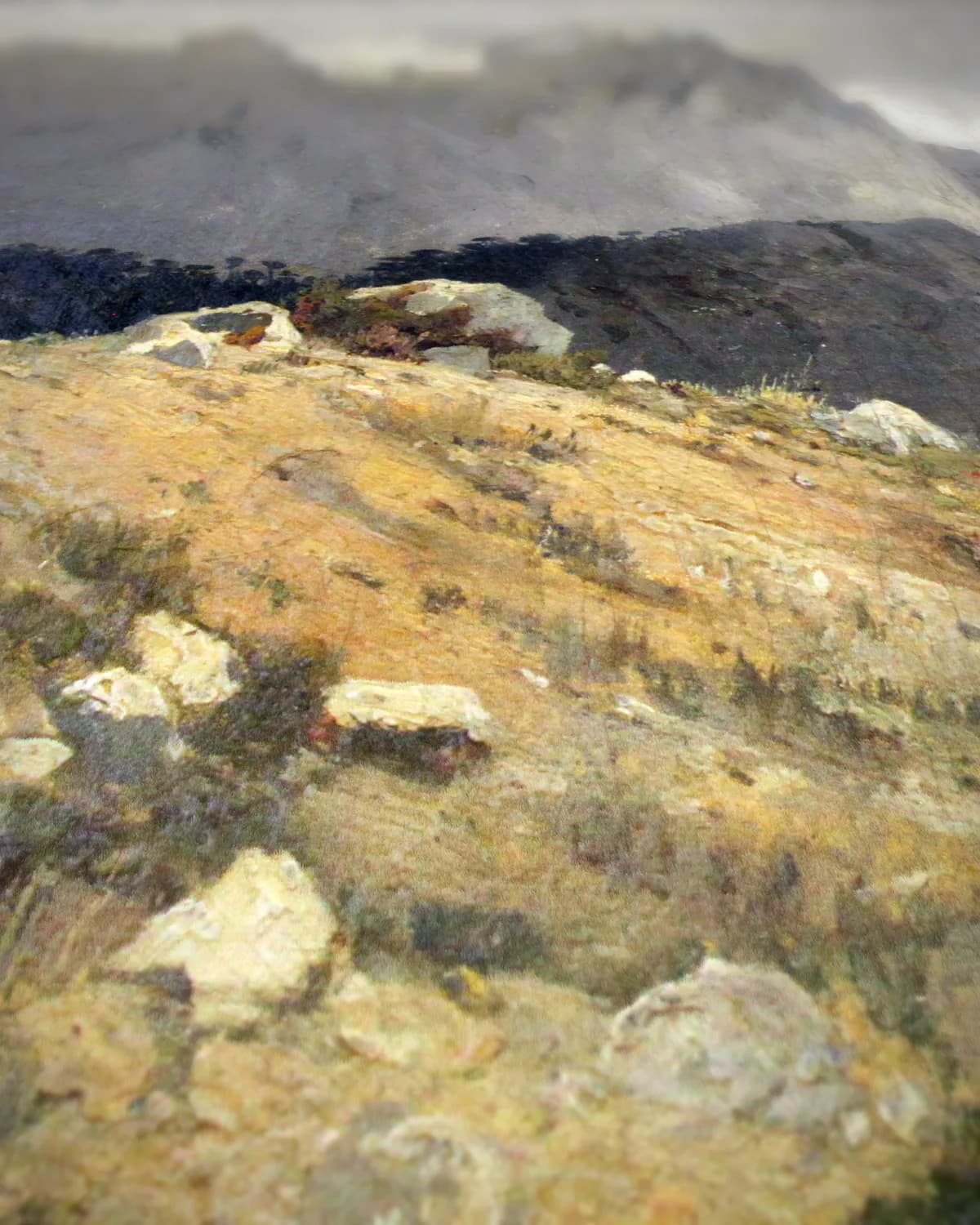 Rotsachtig landschap op geweven fluweel, uitsnede 3 van 3