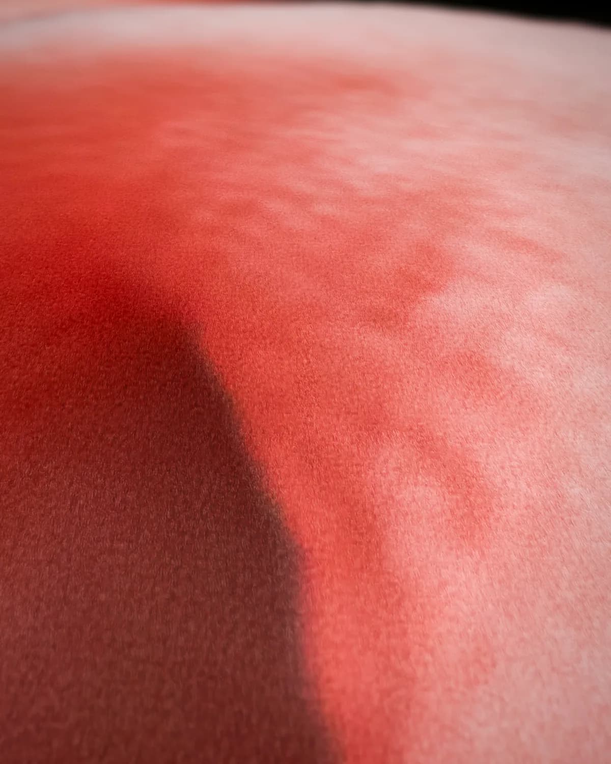 Roze Flamingo op geweven fluweel, uitsnede 1 van 3